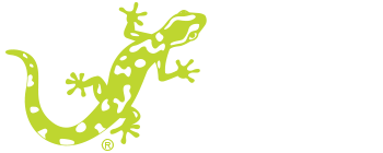 Salamander Logo